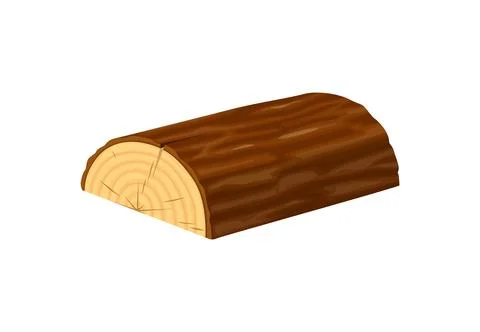 Wooden log with bark texture and growth rings Stock Illustration