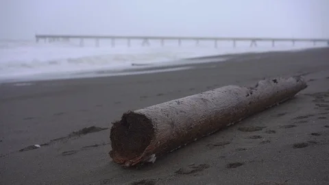 Wooden log in the beach. 스톡 동영상 112954325