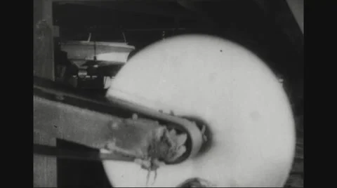 Wooden log being processed by machinery in sawmill Video stock 43310376