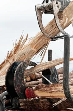Wooden log being split by timber jaws and log jaw wood splitter Foto stock