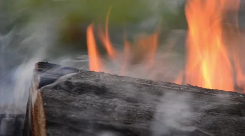 Wooden Log on Fire Stock Footage 60675172