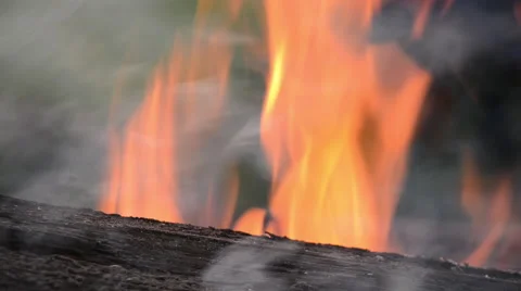 Wooden Log on Flames Stock Footage 60675354