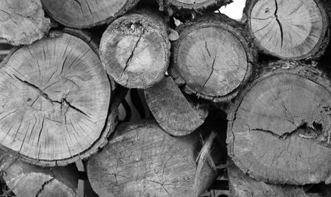 Wooden Log Stack Stock Photos