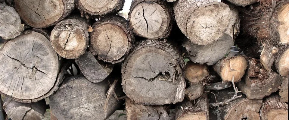 Wooden Log Stack Stock Photos