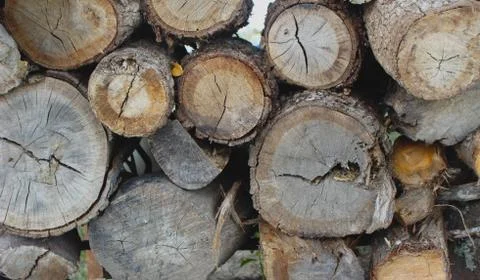 Wooden Log Stack Stock Photos
