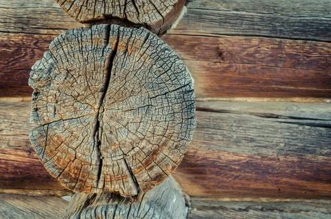 Wooden log texture Stock Photos