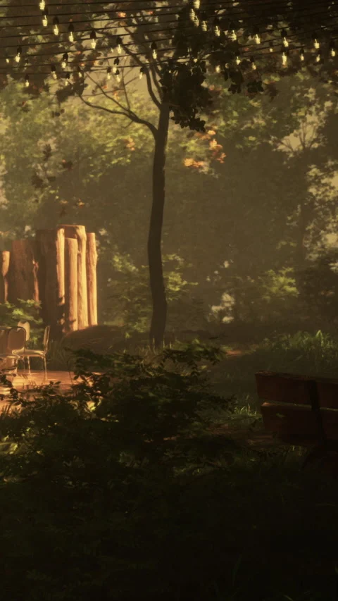 Wooden logs and trees in a forest area during late afternoon light Stock Footage 337929337