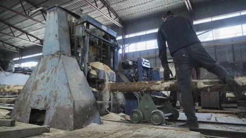 Wooden logs are being processed by the automated industrial sawing machinery Stock Footage 169985884