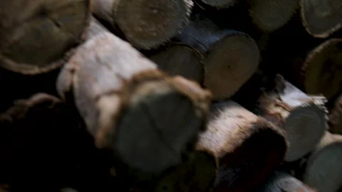 Wooden logs background. Stack of Firewood Logs. Stacked wooden logs background Stock Footage 314098370