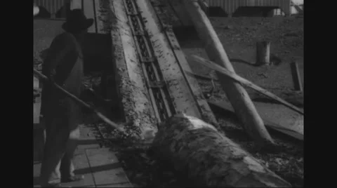 Wooden logs being pulled up to sawmill Stock Footage 43310343