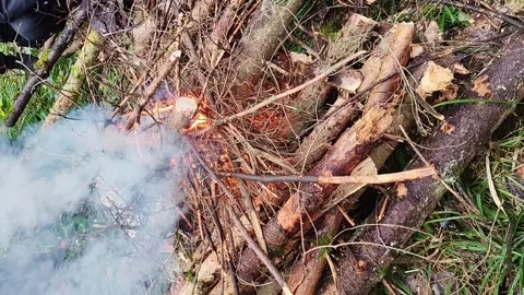 Wooden logs catch fire in a forest campfire, flames spreading through dry sticks Stock Footage 316368085