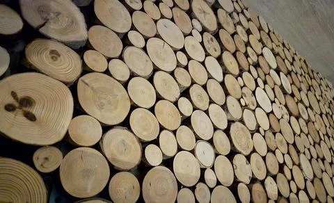 Wooden logs close view background 库存照片