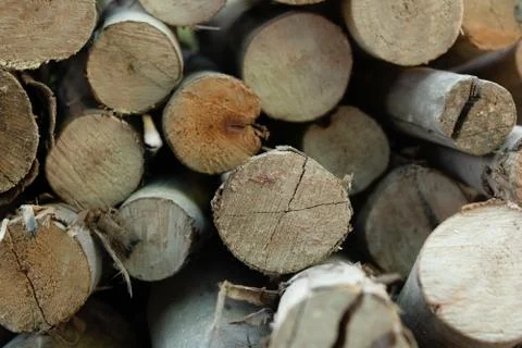 Wooden logs stack, tree stumps background Stock Photos