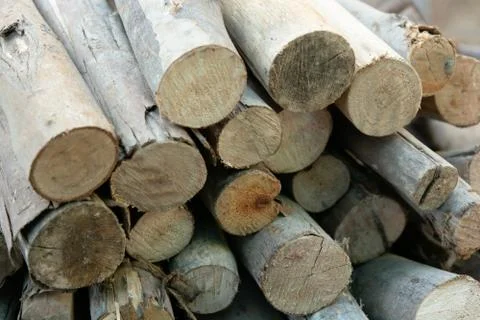 Wooden logs stack, tree stumps background Stock Photos