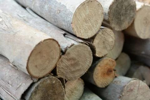Wooden logs stack, tree stumps background Stock Photos