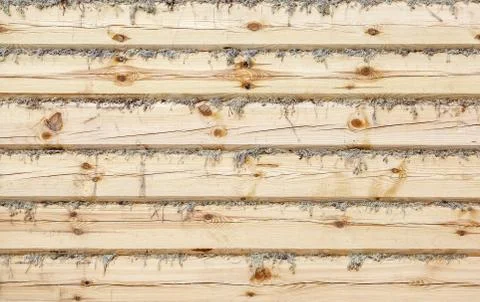 Wooden logs texture Stock Photos