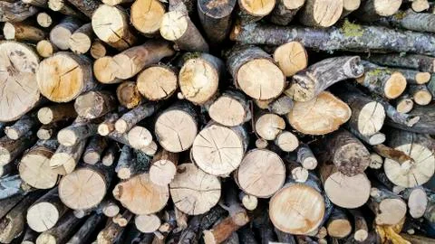 Wooden logs wall - pattern background Stock Photos