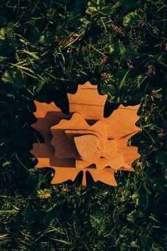 Wooden Maple Leaf Shape on Grass Фото