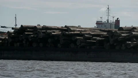 Wooden materials transported by barge Stock Footage 132609846