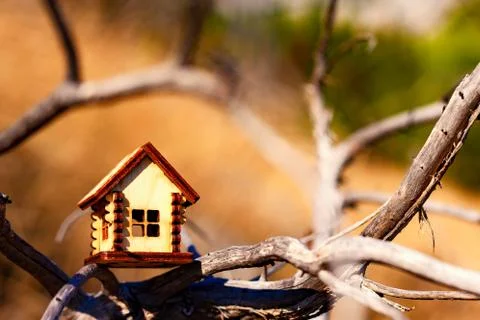 Wooden miniatry house on the branches Stock Photos