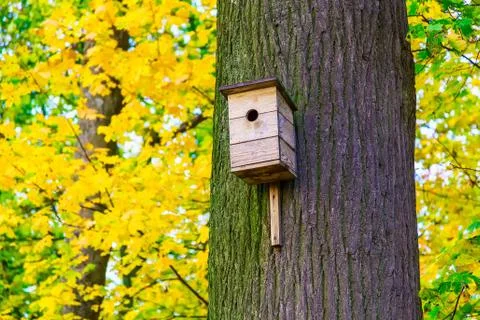 Wooden Nesting Box on Tree Trunk Stock-Fotos