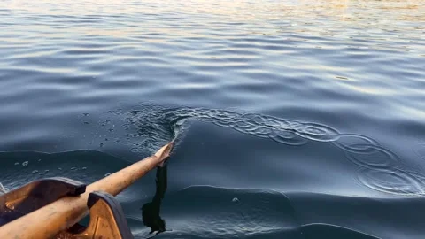 Wooden oars rowing inflatable tender 2 Stock Footage 278238031