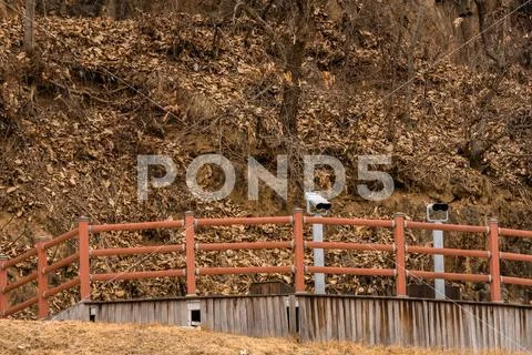Wooden observation platform in wilderness area Stock Photos
