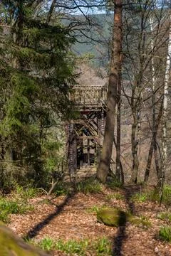 Wooden Observation Tower in Spring Forest Along A Leafy Hiking Trail Foto stock