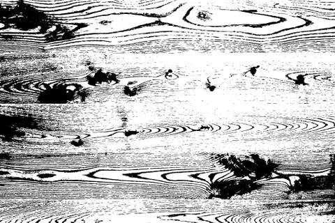 Wooden Overlay Texture 库存插图