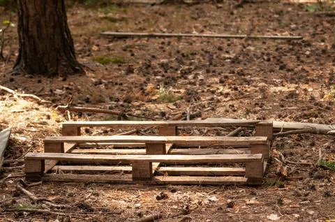 Wooden Pallets in a Forest Setting Stock Photos