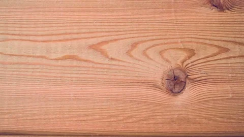 Wooden panel tree larch Stock-Footage 81662028