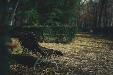 Wooden park bench blanketed in an array of colorful autumn leaves in a natural f Fotos de archivo