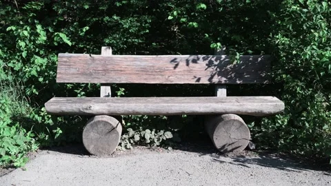 Wooden park bench in front of trees in the sunshine Stock Footage 141881250