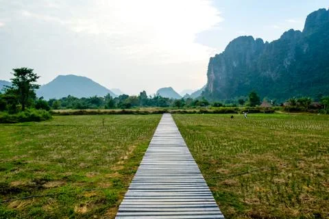 A wooden path above the paddy fields, Vang Vieng Stock Photos