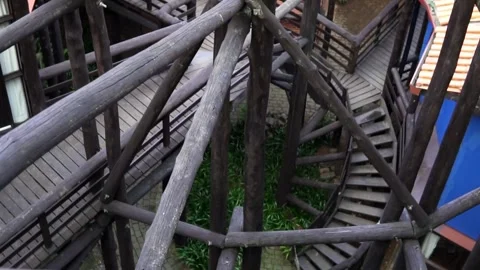 Wooden path and steps in a public park surrounded by a forest, Zanielli Unilivre Stock Footage 276424671