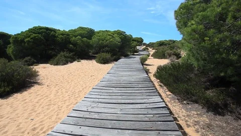 Wooden path to the beach Stockbeeldmateriaal 76919302
