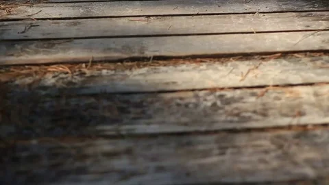 Wooden path to the beach Stock Footage 99119486