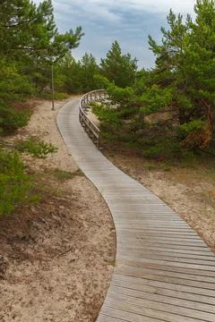 Wooden path on the beach surrounded by pine trees and going over sand dunes Stock Photos