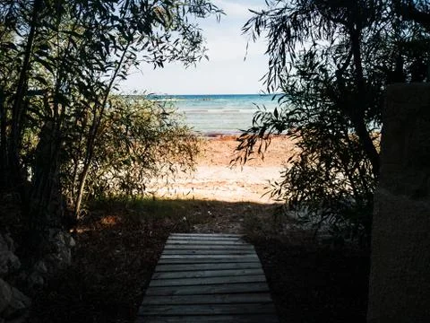 A wooden path between trees in the beach on a sunny day Stock Photos