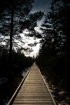 Wooden path at dawn Stock Photos