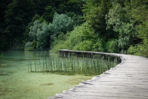 Wooden path in the forest 스톡 사진
