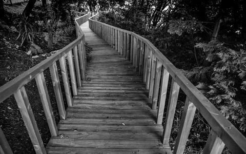 Wooden path in the forest Stock Photos
