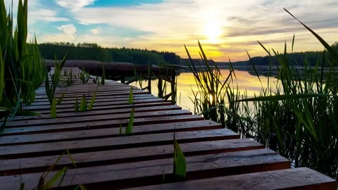 Wooden path in the lake against the backdrop of reeds and sunset against the Stock-Footage 297849671