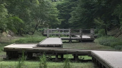 Wooden Path Park Stock Footage 92556203