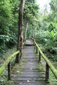 Wooden path Stock Photos