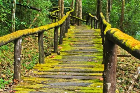 Wooden path Stock Photos