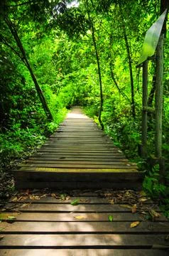 Wooden path Fotos de archivo