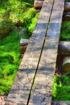 Wooden path Stock Photos
