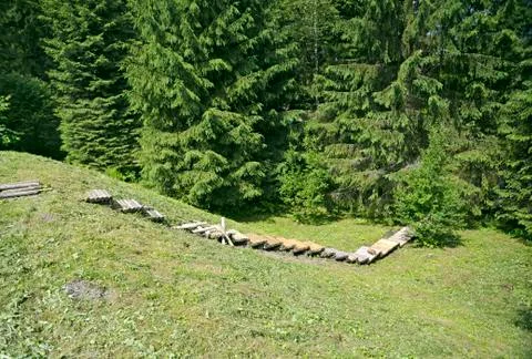 Wooden path 스톡 사진