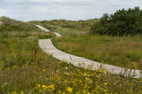 Wooden path Stock Photos